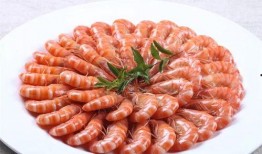 飞哥爆料基围虾养殖视频,飞哥视频带你探秘高效养殖过程