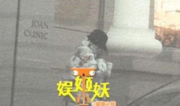 卓伟爆料澄清视频,揭秘背后真相与误解