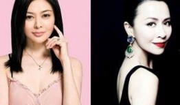 娱乐明星爆料八卦新闻,明星爆料背后的真实故事