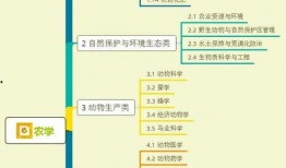 光明渔港爆料视频大全集,揭秘海鲜市场的秘密与真相