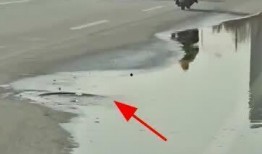 保定复兴路最新爆料,最新爆料揭示蜕变之路