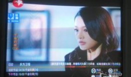 电视直播网在线观看