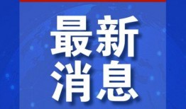 新闻爆料专用头像,揭秘背后故事与神秘面纱