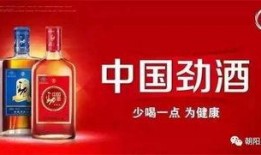 东北饮食爆料视频播放网站,揭秘热门饮食爆料视频网站背后的精彩