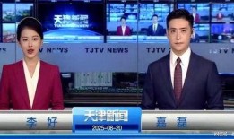 天津电台爆料新闻视频,揭秘某重大新闻事件内幕