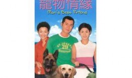 宠物情缘在线观看,萌宠相伴，共度温馨时光