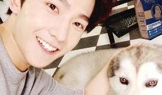 哆啦杨洋最新爆料,新作品幕后故事与创作灵感