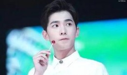 内部人爆料杨洋视频大全,揭秘明星幕后生活