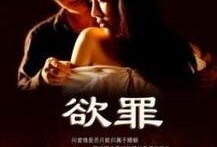 欲罪全集在线观看,一场跨越时空的罪与罚探秘之旅