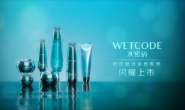 新全瓶梅电影在线观看,穿越时空的传奇爱情在线观影指南