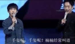 宏楠兄弟大爆料视频全集,揭秘视频全集精彩瞬间