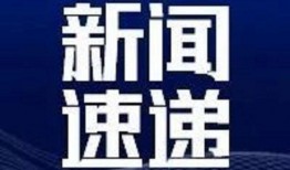 新闻爆料专用头像,揭秘背后故事与神秘面纱