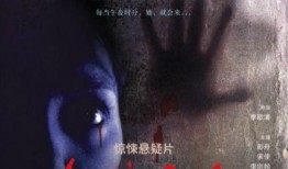 恶夜惊魂在线观看,惊悚之夜，恐怖降临