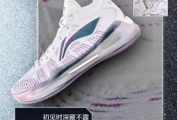 李宁近期新品爆料视频,运动时尚新潮流，揭秘最新系列亮点