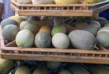 新疆吃瓜最新爆料,揭秘最新爆料背后的真相与争议