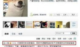 暗黑爆料新闻破解版,新闻背后的真相与内幕