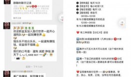 爆料养鸡套路视频播放网站,视频网站爆光惊人内幕