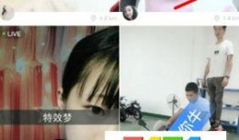 明星爆料横屏视频下载,揭秘热门视频获取秘籍