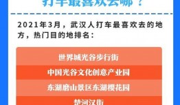 想爆料武汉新闻,揭秘背后真相，独家爆料震撼来袭！