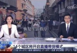 二宁最新爆料新闻事件视频,揭秘事件背后惊人真相