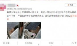 爆料养鸡套路视频播放网站,视频网站爆光惊人内幕