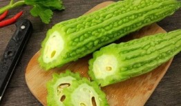 吃瓜大队免费吃瓜,吃瓜大队狂欢来袭！