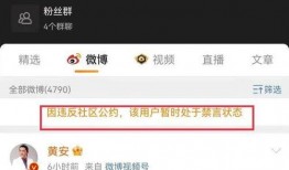 长春爆料辟谣视频最新,揭秘最新视频真相，权威解读不容忽视！