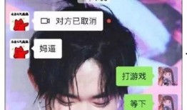 宋浩然妈妈爆料聊天视频,揭秘亲子互动背后的温馨瞬间