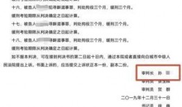 浮桥案审判长爆料视频最新,视频揭露案件背后惊人内幕