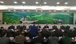 遂溪县新闻爆料网,聚焦本土热点，传递民生声音