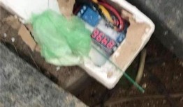 爆料柬埔寨赌场视频播放,震撼视频揭示奢华与混乱并存