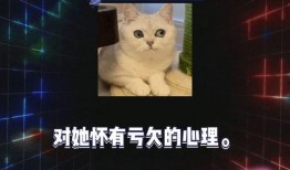 娱乐吃瓜第一期,揭秘娱乐圈幕后故事，带你领略明星真实生活