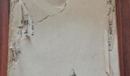 临沂探店爆料视频最新下载,网红美食地图更新，独家爆料来袭！