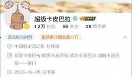 卡哥最新爆料视频,揭秘行业内幕，带你走进真实娱乐圈