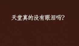天堂没有眼泪在线观看,感人至深的情感之旅