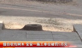 深圳闪送员爆料案件最新,揭秘背后惊人真相