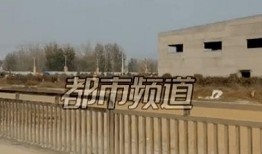 焦作武陟县爆料视频,最新爆料视频揭示惊人真相