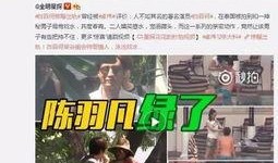 村霸事件爆料是真的吗视频,真相揭露还是网络谣言？