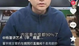 董宇辉事件最新爆料新闻,揭秘背后真相与各方动态