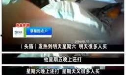 草莓爆料视频,精彩瞬间与幕后故事大公开