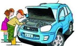 娱乐吃瓜酱汽车