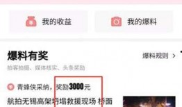 头条上怎么爆料新闻,如何高效爆料新闻，助力舆论监督