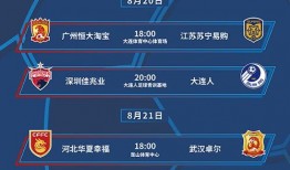 德国对阵日本爆料视频,揭秘赛场背后的精彩瞬间