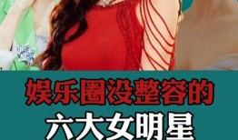 娱乐圈明星爆料故事,明星爆料背后的真实故事