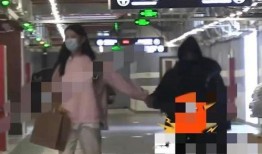 王宝强和冯清的爆料视频,婚姻真相与情感纠葛