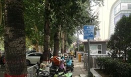 临汾老太太最新爆料,揭开事件背后惊人真相