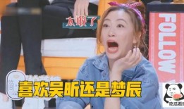 有董洁的爆料吗视频下载,揭秘娱乐圈背后真相