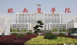 皖南医学院爆料新闻事件,揭开校园事件背后真相