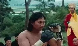 元华大爆料李小龙视频,李小龙生前罕见视频曝光，独家爆料令人震惊