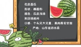 吃瓜事故小说免费阅读,一场吃瓜引发的悬疑大案